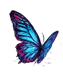 Follow the butterfly? Follow the butterfly?