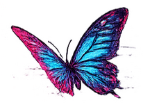 Follow the butterfly? Follow the butterfly?